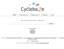 Tablet Screenshot of cyclebase.org